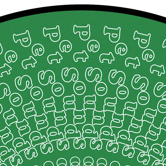 The Beach Boys - Pet Sounds Zoetrope Detail