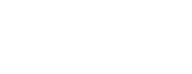 The Beach Boys Official Store mobile logo