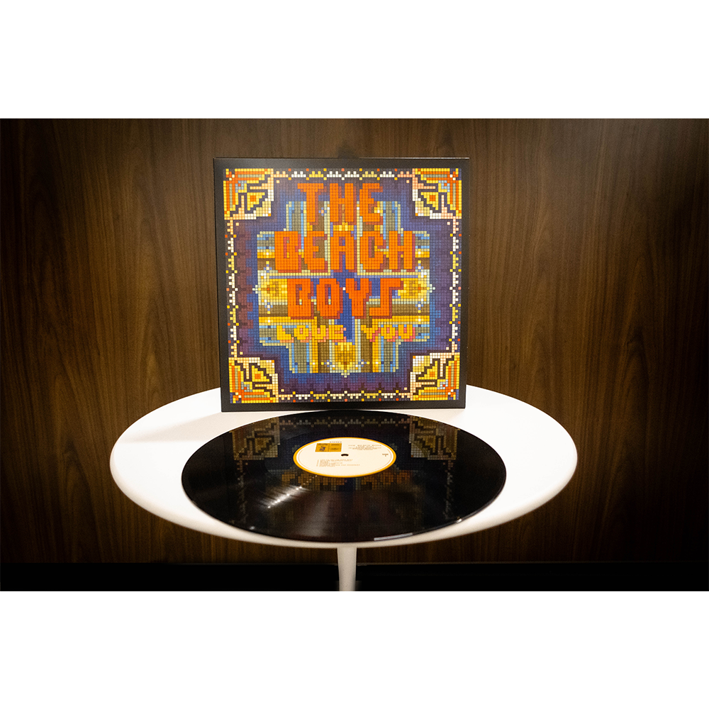 We Gotta Groove: The Brother Studio Years - The Beach Boys We Gotta Groove: The Brother Studio Years - The Beach Boys